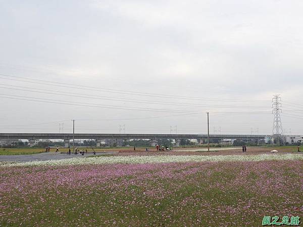 桃園花彩節楊梅區(二)20181125(71)