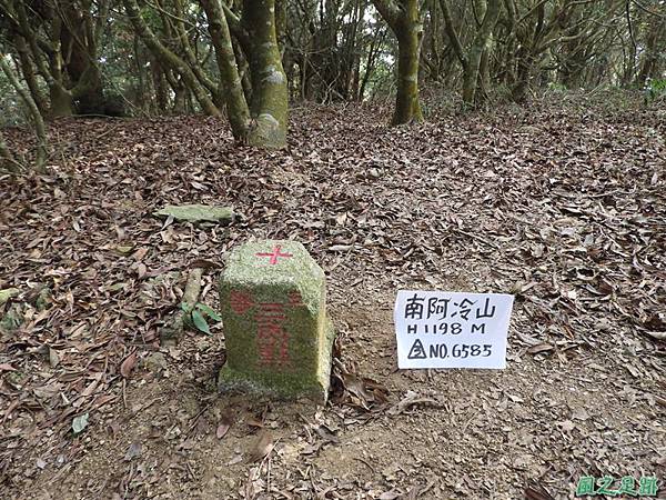 阿冷山東南峰20181215(10).JPG