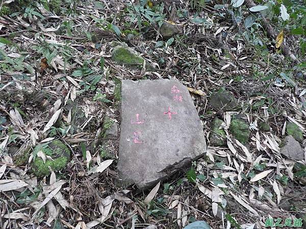 鳥嘴山南峰20190105(25) 鳥嘴山南峰20190105(25)