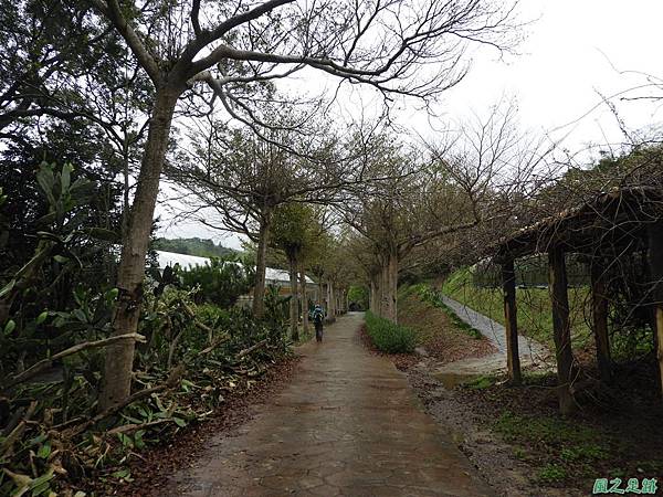 福祥多肉植物20190310(2)