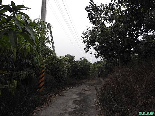 北嶺山20190208(47)