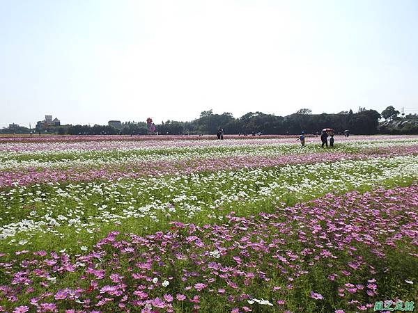 花彩節中壢場20191117(21).JPG