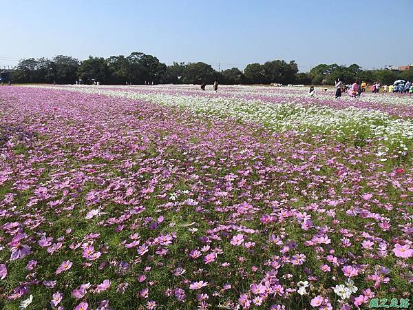 花彩節中壢場20191117(32).JPG