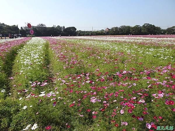 花彩節中壢場20191117(45).JPG