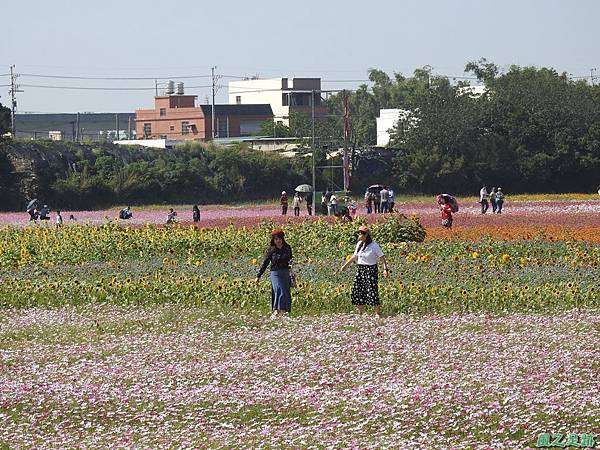 花彩節中壢場20191117(71).JPG