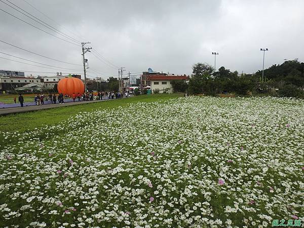 花彩節'平鎮場20191117(13).JPG