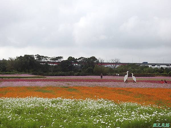 花彩節'平鎮場20191117(34).JPG