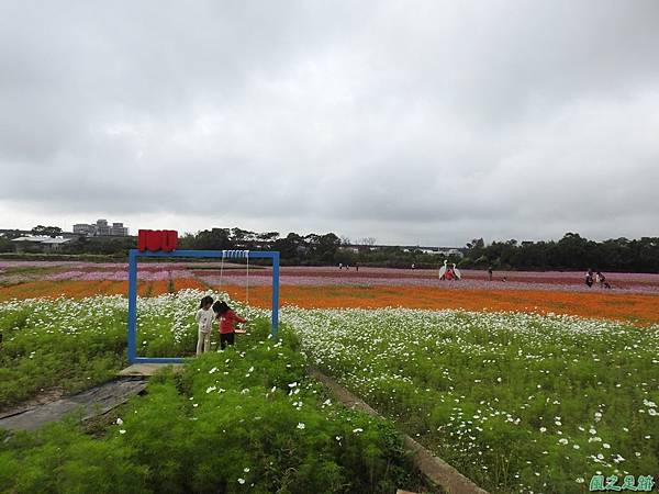 花彩節'平鎮場20191117(31).JPG