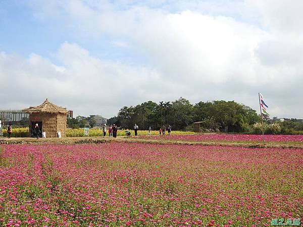 花彩節%5C平鎮場20191117(81).JPG