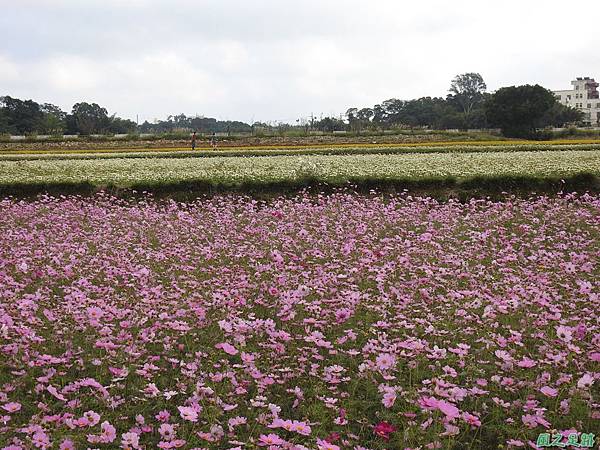 花彩節%5C平鎮場20191117(122).JPG