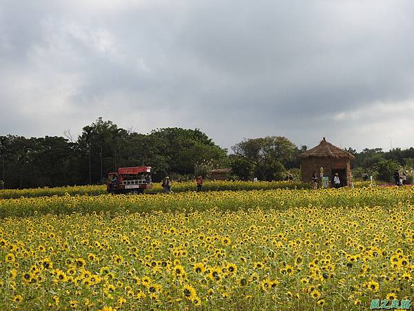 花彩節'平鎮場20191117(137).JPG