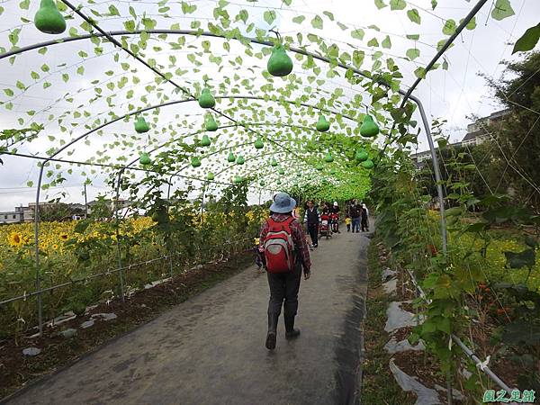 花彩節'平鎮場20191117(142).JPG