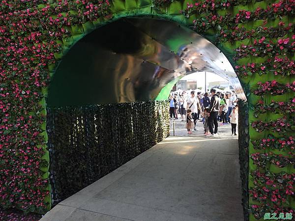 楊梅仙草花節20191124(51).JPG