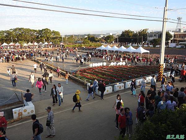 楊梅仙草花節20191124(58).JPG