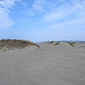 東方環頸鴴20200229(6).JPG