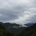 東方狗脊蕨(山景)20200606(39).JPG