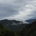 東方狗脊蕨(山景)20200606(40).JPG