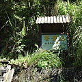 大霸尖山(酒桶山)20200613(30).JPG