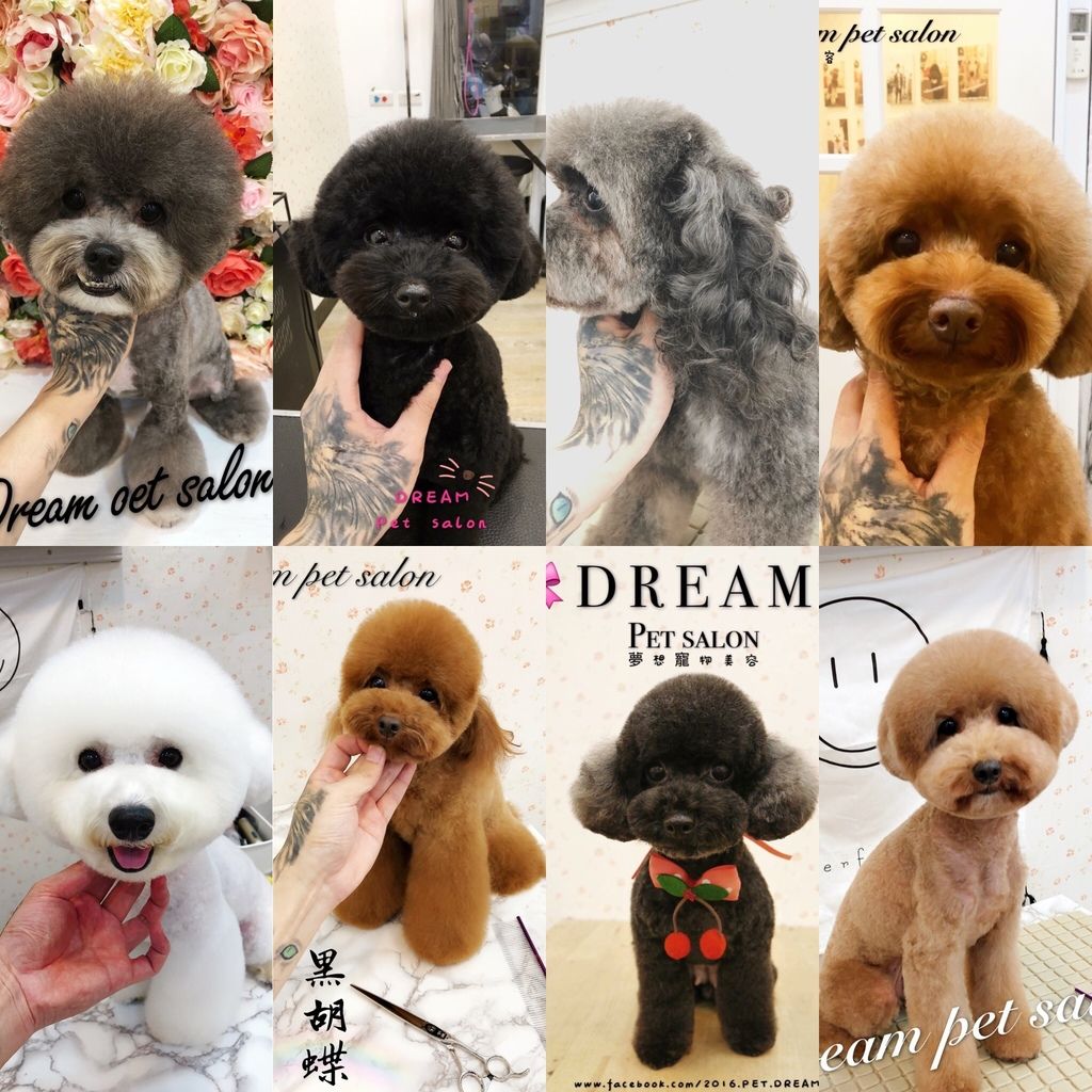 LPRP1331.JPG LPRP1331.JPG