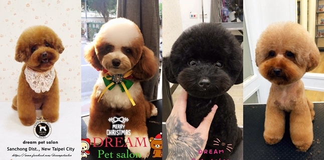 53046710_851770891839213_272758216029372416_o.jpg 53046710_851770891839213_272758216029372416_o.jpg