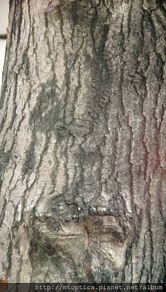 IMAG0432.jpg IMAG0432.jpg