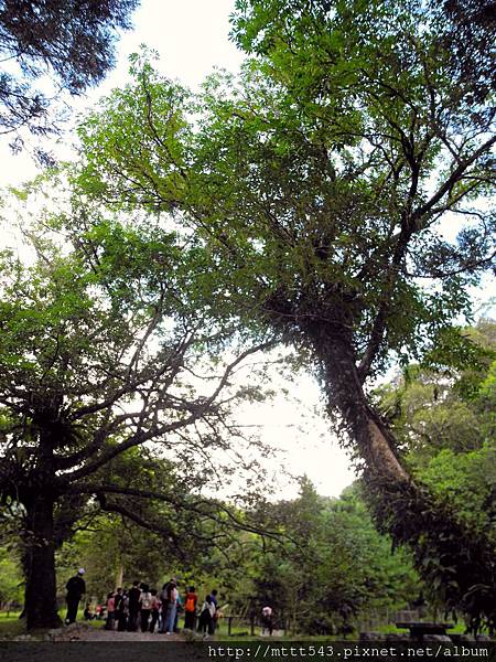 宜蘭：福山植物園 (2).jpg