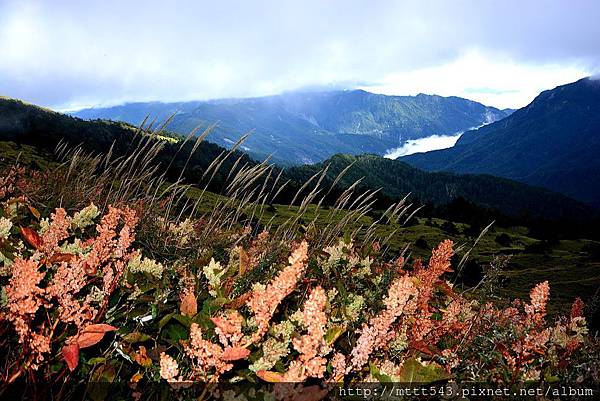 合歡山。2014~ 10 (9)