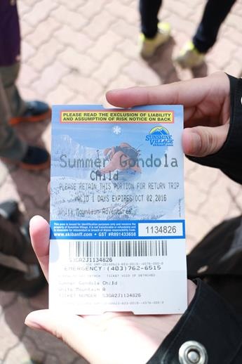 IMG_0042 (Copy).JPG IMG_0042 (Copy).JPG