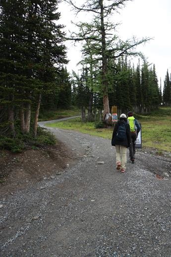 IMG_0068 (Copy).JPG IMG_0068 (Copy).JPG