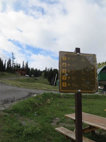 IMG_3299 (Copy).JPG IMG_3299 (Copy).JPG