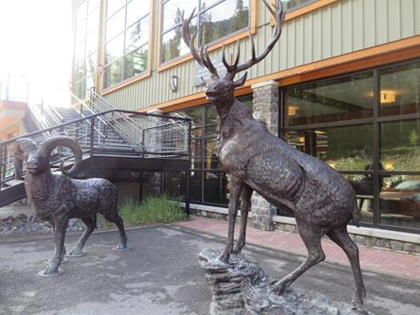 IMG_3296 (Copy).JPG IMG_3296 (Copy).JPG