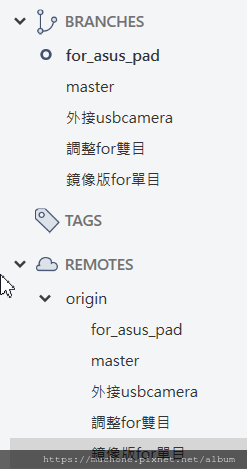 變更分支名稱 rename branch name
