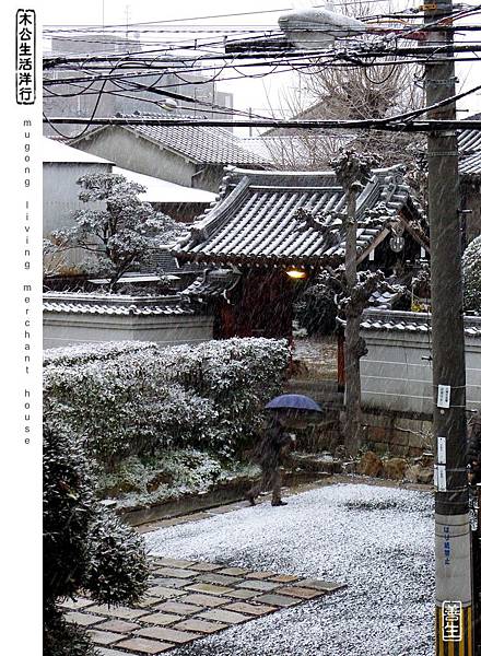 旅居大阪：大阪2015年初雪 osaka 1st snow in 2015