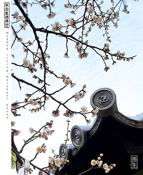 旅居日本:美好在四周 beauty is around 旅居日本:美好在四周 beauty is around