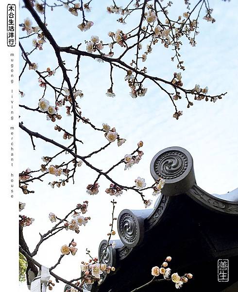 旅居日本：美好在四周 beauty is around