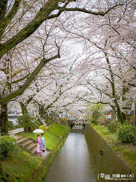 旅居日本：借看美景 sakura shot on a rainy day