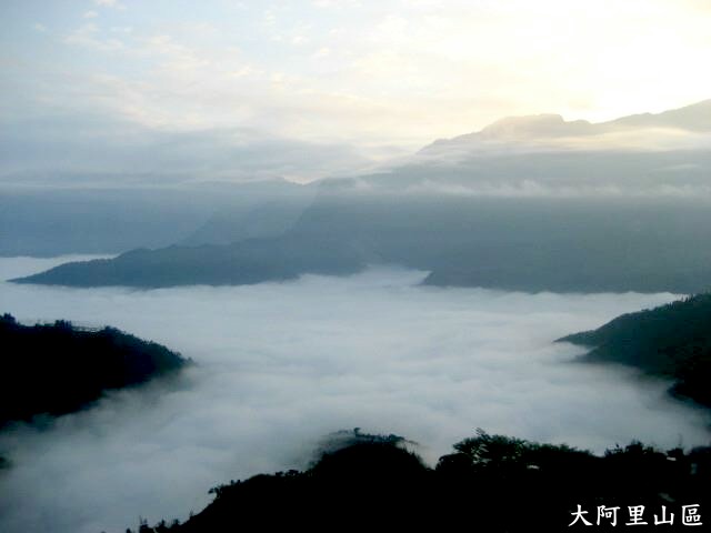 【MUJO趴趴走--國內旅遊】嘉義縣梅山亮點心旅遊:2012台灣阿里山茶農榮耀時刻!!冠軍茶誕生幕後評審.及如何選購