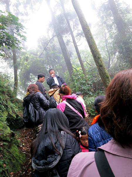 【MUJO趴趴走--國內旅遊】陽明山海芋季頂湖一日遊.如何到竹子湖頂湖區.午餐:陽明溪美食館.穿青蛙裝採海芋體驗:花谷海芋園