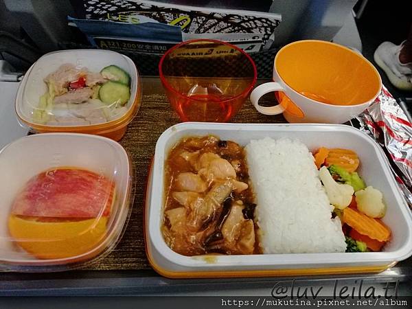 去程飛機餐.jpg