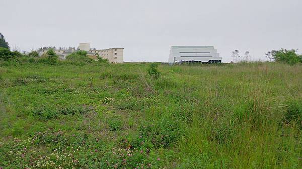 20140609-051.JPG