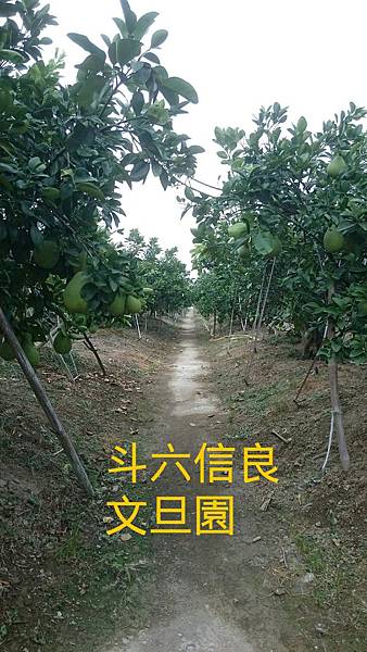 IMG_20150706_200753 IMG_20150706_200753