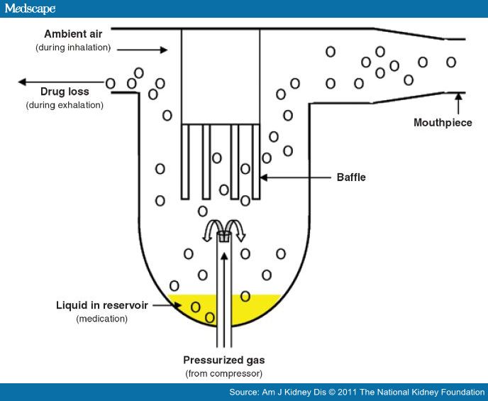 745232-fig3.jpg