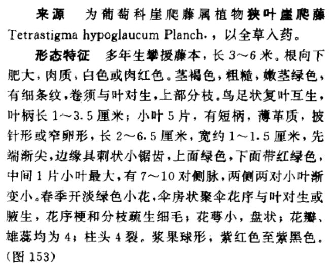 wuzhoa-002.png wuzhoa-002.png