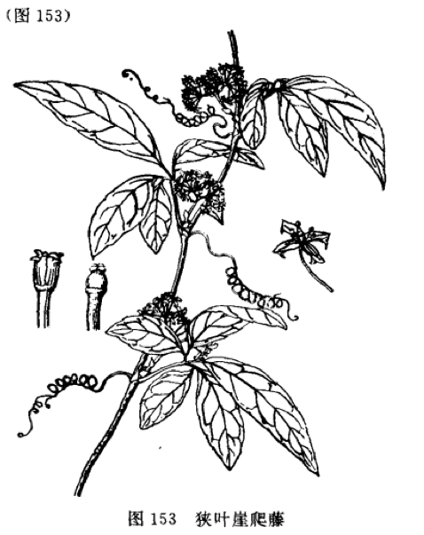 wuzhoa-003.png wuzhoa-003.png