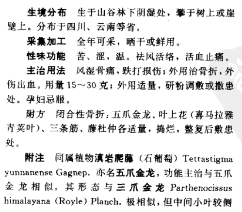 wuzhoa-004.png wuzhoa-004.png