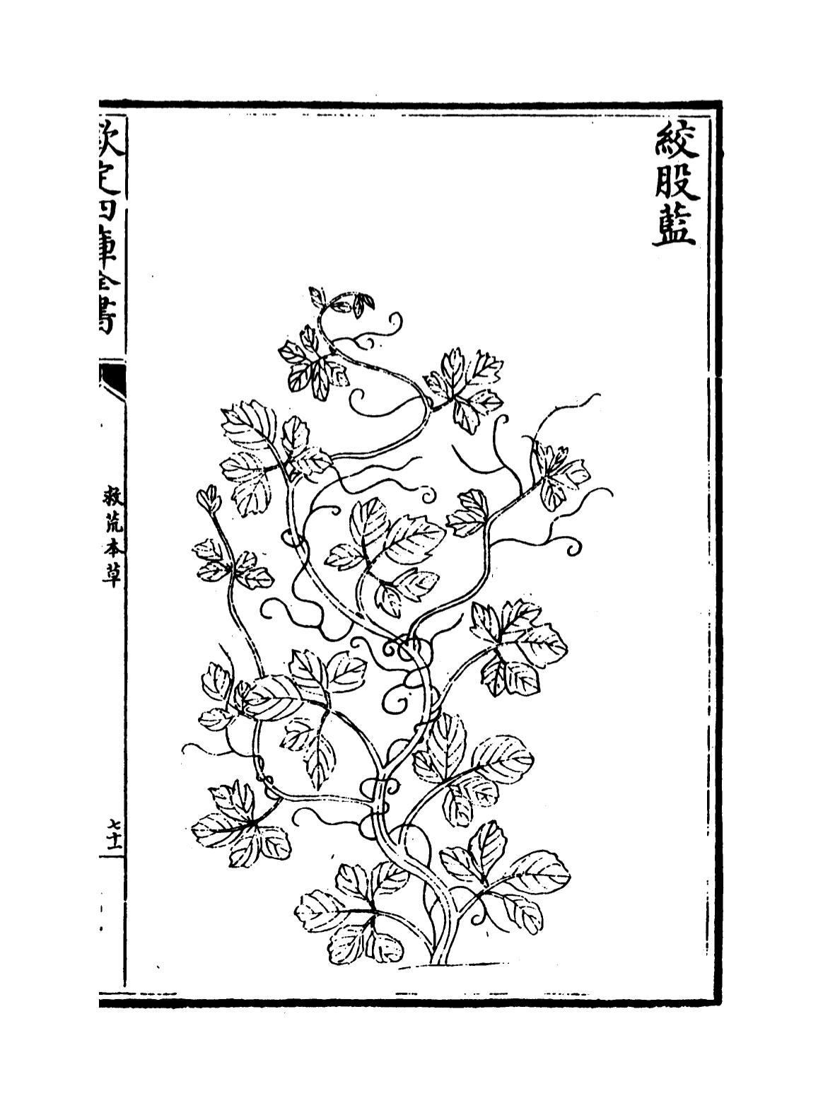 救荒本草(已拖移).png 救荒本草(已拖移).png