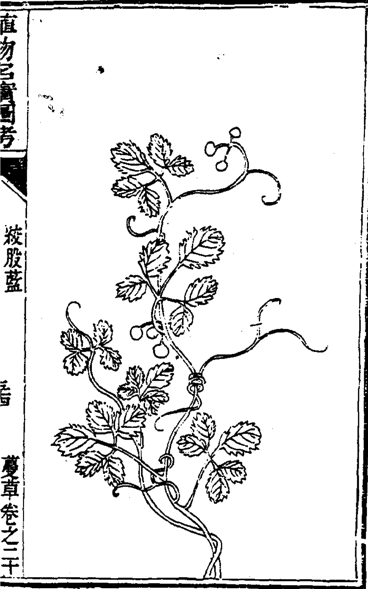 02095452.cn(已拖移).png 02095452.cn(已拖移).png