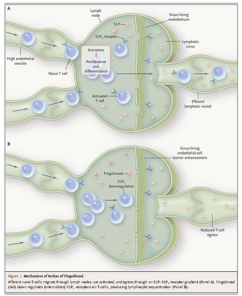 nejmct1101691_Page_3.png