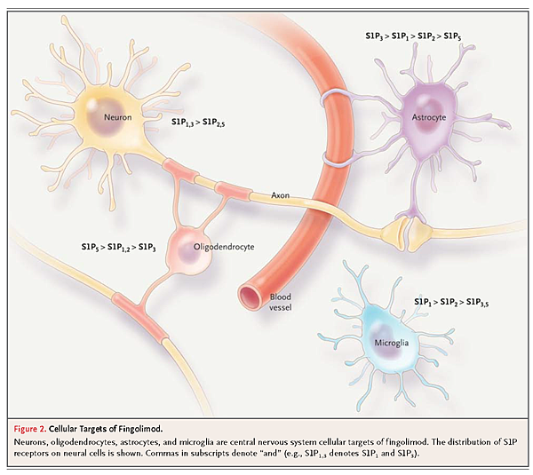 nejmct1101691_Page_4.png