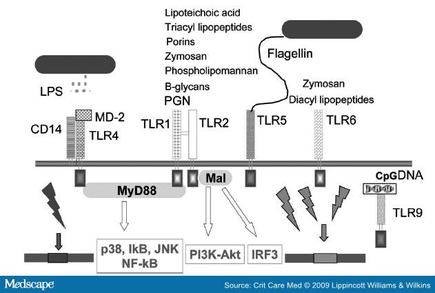 ccm585997.fig2